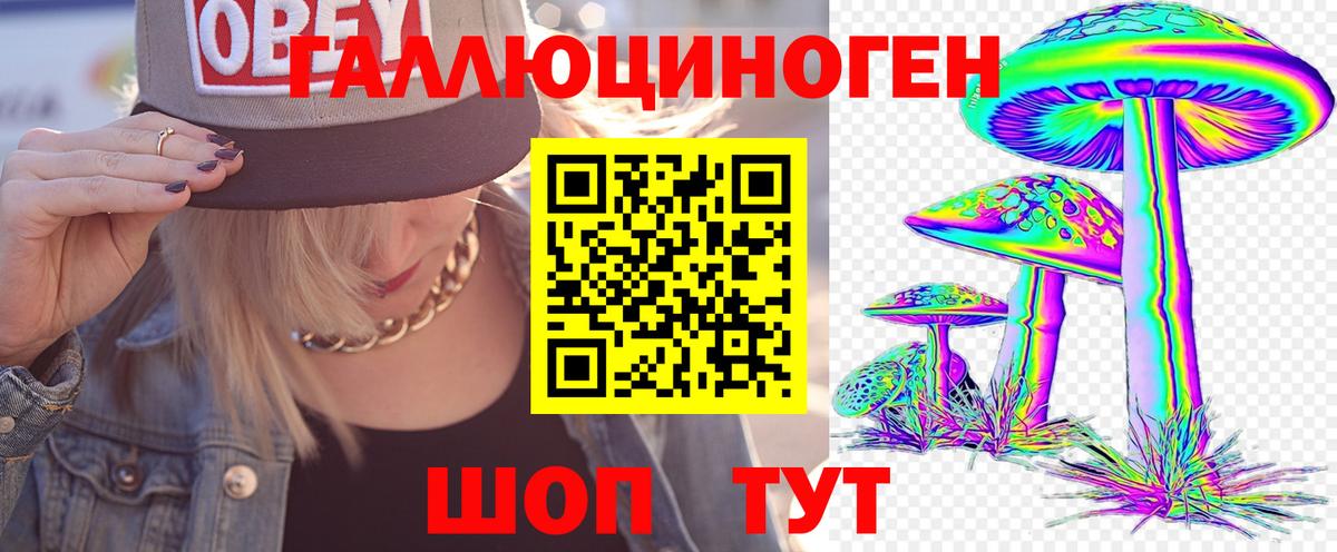 Галлюциногенные грибы Psilocybine cubensis Зерноград