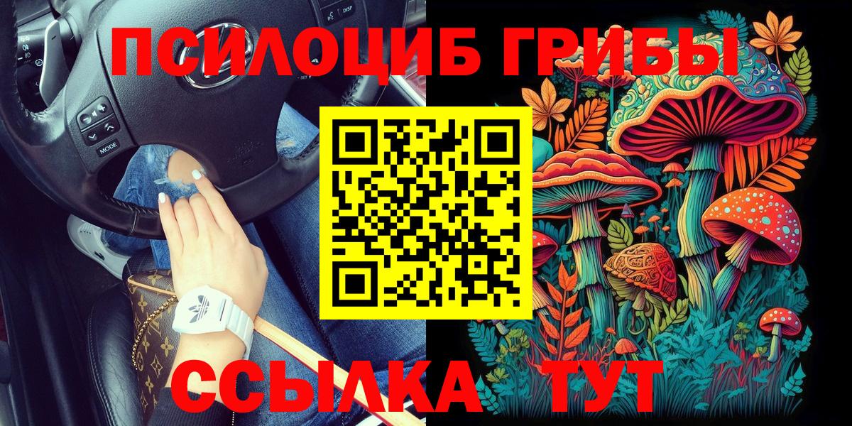 Галлюциногенные грибы Cubensis  Вход с VPN  Зерноград 